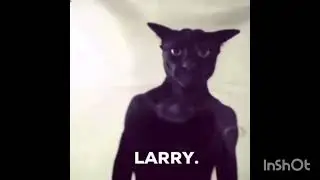 Larry cat holding laugh meme 