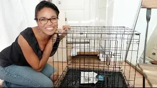 How To Set Up a Puppy Crate | Setting up my New Puppy's Crate! | Life with Noah the Cavapoo