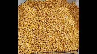 PLT 3 HP Jumbo Pulveriser | Besan Powder Making Machine | +91 9712126868