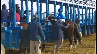 RACE1 AQUEDUCT  USA 28 DEC 2025