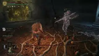 Elden Ring - Cemetary Shade boss fight (Kindred of Rot Ashes)