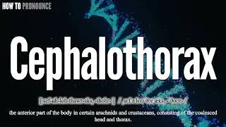 Cephalothorax Pronunciation | How to Pronounce (say) Cephalothorax CORRECTLY | Meaning Definition