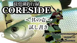 【琵琶湖バス釣り】コアサイド（CORESIDE）ジャイアントベイト　ビッグベイト