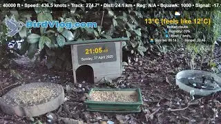 Live Nature Feed from Germany 🇩🇪 | Extra Garden cam installed. Sky cam Changed !