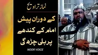 Cat jump on imam while Quran recitation in Ramadan Prayer in Algeria