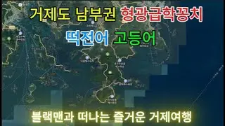 형광급학꽁치 떡전어 고등어 마리수 잡는 거제도남부권