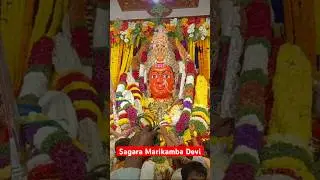 Sagara Marikamba Jatre 3/2/2026 #sagar #marikambatemple #marikamba #jatra #ytshorts #shorts