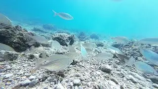 Diving center Kostrena 03.09.2023