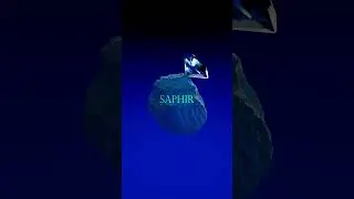 Saphir Fragrance — 3D Ad Creative Animation