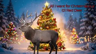 🔴All I want for Christmas is a G1 Red Deer🔴