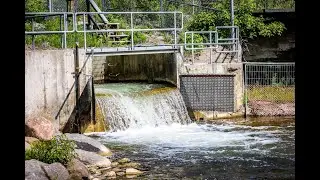 Relaxing sounds at the Bowmanville Creek Barrier Dam    4K
