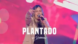 Plantado - Su Presencia