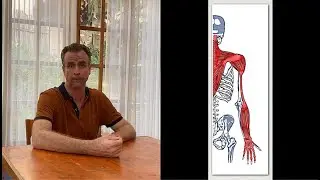 Acupressure Points for Neck, Shoulder, and Back Pain - Video #9