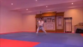 Kata Enpi by SKIF Sensei Katsu TJ-Shuhari Shotokan Karate Association