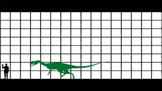 Pivot | Dinosaur Size Chart