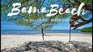PANTAI BAMA - TN BALURAN SITUBONDO
