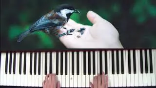 Summer song - piano - audition