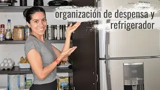 Despensa, refrigerador y congelador. ORGANIZACIÓN y limpieza. Práctico, sencillo, funcional.