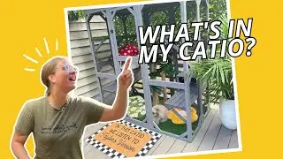 Ultimate DIY Catio Makeover: Pet Turf, Scratchers & Cat Safe Plants!