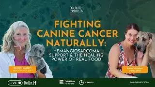 Fighting Canine Cancer Naturally  Nacho&rsquo;s Hemangiosarcoma Journey & the Healing Power of Real Food