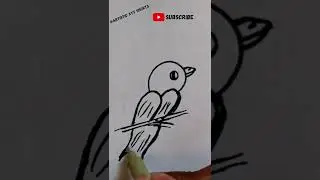 bird 🐦 || #shorts #draw #drawbird
