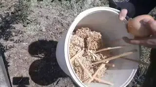 Soğan Karaca Tohumu Ekme  Aşama Aşama dikimi Öğlen  Yemeği Vlog
