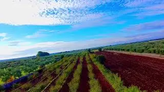 Autumn in Apulian countryside #drone #fypシ #fpv #fpvdrone #cinematic #puglia