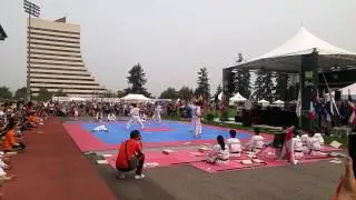 Kukkiwon Taekwondo Demonstration Team - Burnaby, BC, Canada, Aug 05 2017.