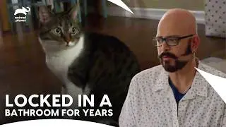 This Locked Away Cat Ruined An Entire House | My Cat From Hell S9 E12 | Animal Planet India