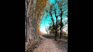 #swatcity #fatehpur #beautifulswat