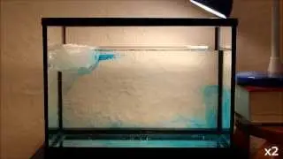 Simulation circulation thermohaline