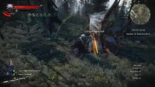 The Witcher 3: Wild Hunt - Random Endrega & Armoured Arachas(INSANE CRIT)