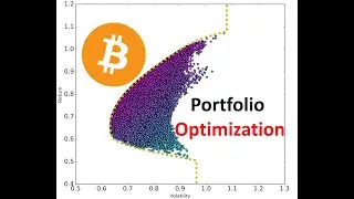 Cryptocurrency Portfolio Optimization