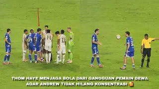 Thom Haye menunjukan jiwa kepemimpinannya!! Atmosfir gol Andrew Jung saat PERSIB vs Dewa United