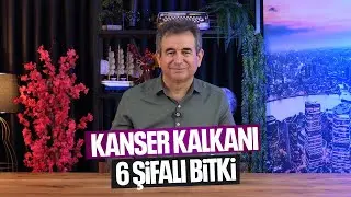 VÜCUDU KALKAN GİBİ KORUYORLAR | Kansere Karşı 6 Mucize Bitki!