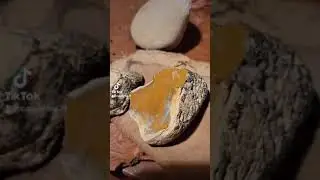 lithic reduction