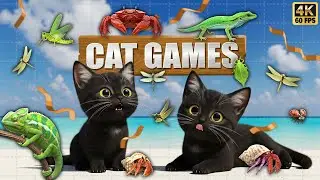CAT GAMES 🐾3D Game for Cats | Video for Cats  &ndash; Ultimate CAT TV #136😻 4K60FPS