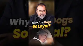 Why Are Dogs So Loyal? || Acharya Prashant
