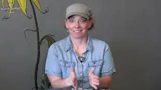 Wisconsin Rapids Business Spotlight Series | I Heart Art Studios