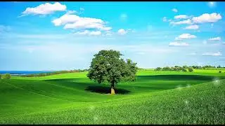 Greenery (Silent Partner) - (Audio Library) - Relaxing Music