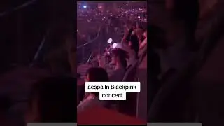 Aespa reaction to Blackpink Seoul concert finale day 2
