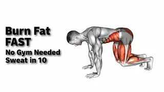 10 Minute Full Body Fat Burn (No Equipment HIIT)