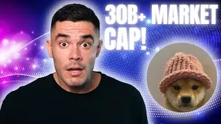 WIF TO 30 BILLION MARKET CAP?!
