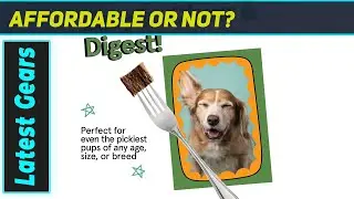 Real Meat Air Dried Dog Food: The ULTIMATE Beefy Feast?