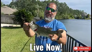 The Great Backyard Pond Fishing Challenge!