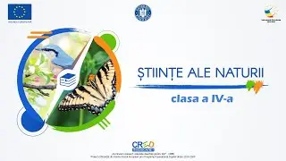 Efectul de seră. Insulele de căldură