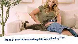 Churu Bisque: A thick and creamy way to add hydration to your cat's bowl
