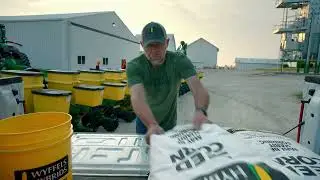 Make Some Noise | Wyffels Hybrids