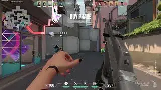 Quitting Valorant #12