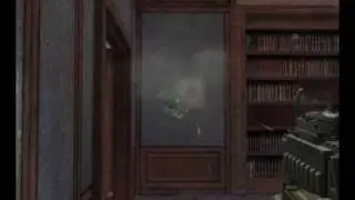 Crosshair Problem in Point Blank